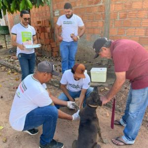 A  Prefeitura de Monte Santo do Tocantins através da Secretaria de Saúde  realizou uma ação que  tem como objetivo, eliminar todos os cães com  Leishmaniose, através da eutanásia.